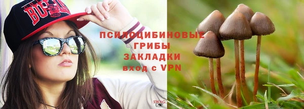 стаф Алексин