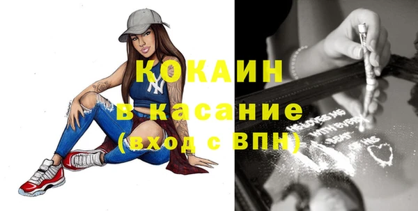 ECSTASY Алзамай