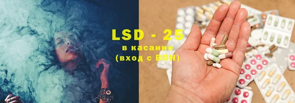 ECSTASY Алзамай