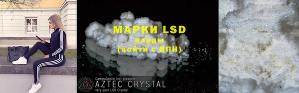 ECSTASY Алзамай