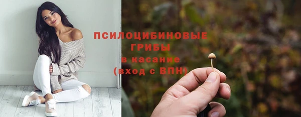 ECSTASY Алзамай