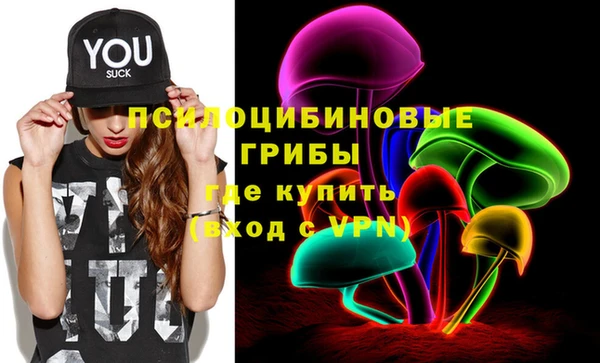 ГАЛЛЮЦИНОГЕННЫЕ ГРИБЫ Абдулино