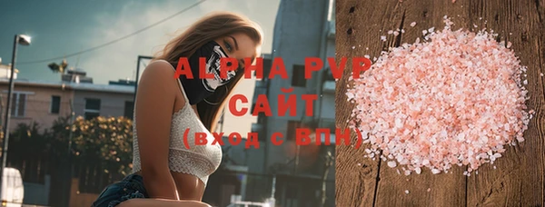 стаф Алексин